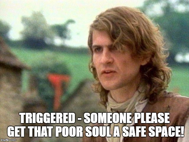 Safety Dance Of Politics | TRIGGERED - SOMEONE PLEASE GET THAT POOR SOUL A SAFE SPACE! | image tagged in safety dance of politics | made w/ Imgflip meme maker