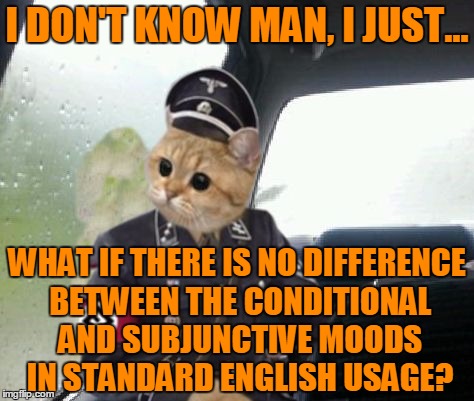 I DON'T KNOW MAN, I JUST... WHAT IF THERE IS NO DIFFERENCE BETWEEN THE CONDITIONAL AND SUBJUNCTIVE MOODS IN STANDARD ENGLISH USAGE? | made w/ Imgflip meme maker