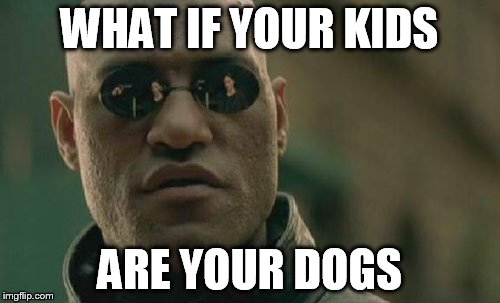 Matrix Morpheus Meme | WHAT IF YOUR KIDS ARE YOUR DOGS | image tagged in memes,matrix morpheus | made w/ Imgflip meme maker