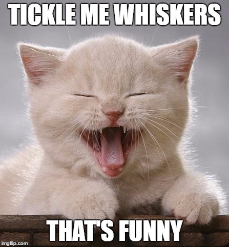 TICKLE ME WHISKERS THAT'S FUNNY | made w/ Imgflip meme maker