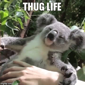 thug life gif