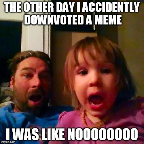 THE OTHER DAY I ACCIDENTLY DOWNVOTED A MEME I WAS LIKE NOOOOOOOO | image tagged in leo won an oscar | made w/ Imgflip meme maker