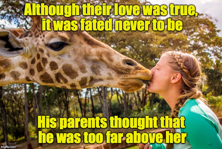 Although their love was true, it was fated never to be His parents thought that he was too far above her | made w/ Imgflip meme maker