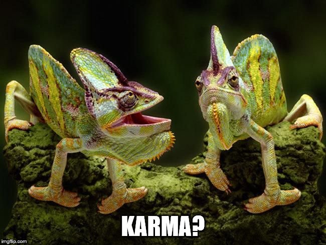chameleons | KARMA? | image tagged in chameleons | made w/ Imgflip meme maker