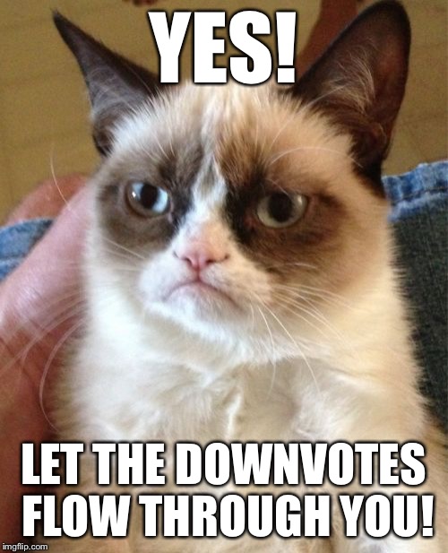 Grumpy Cat Meme | YES! LET THE DOWNVOTES FLOW THROUGH YOU! | image tagged in memes,grumpy cat | made w/ Imgflip meme maker