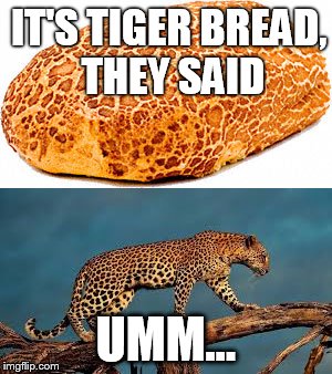 Perhaps it's time for a new marketing team? | IT'S TIGER BREAD, THEY SAID; UMM... | image tagged in leopard,tiger bread,leopard print,marketing fail,bad label,label fail | made w/ Imgflip meme maker