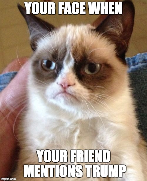 Grumpy Cat | YOUR FACE WHEN; YOUR FRIEND MENTIONS TRUMP | image tagged in memes,grumpy cat | made w/ Imgflip meme maker