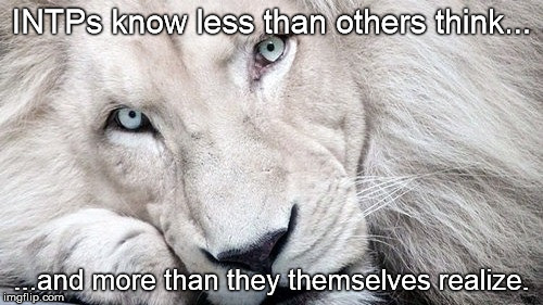 quiet lion | INTPs know less than others think... ...and more than they themselves realize. | image tagged in quiet lion | made w/ Imgflip meme maker