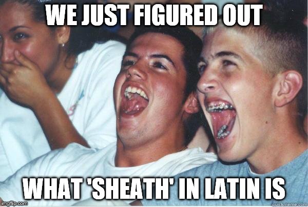 Immature Highschoolers | WE JUST FIGURED OUT; WHAT 'SHEATH' IN LATIN IS | image tagged in immature highschoolers | made w/ Imgflip meme maker