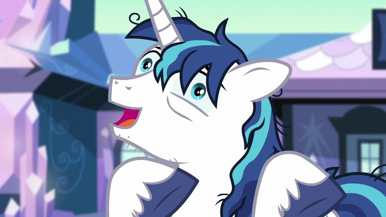 mlp_shiningarmor Blank Meme Template