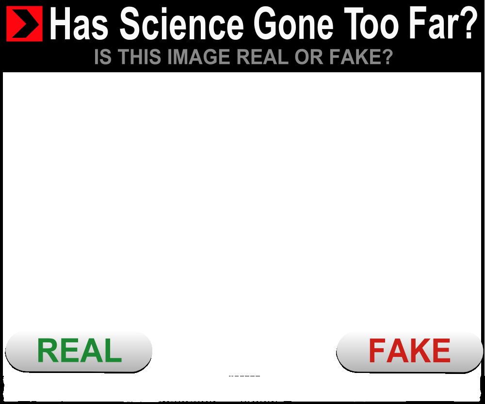 High Quality Has science gone too far Blank Meme Template