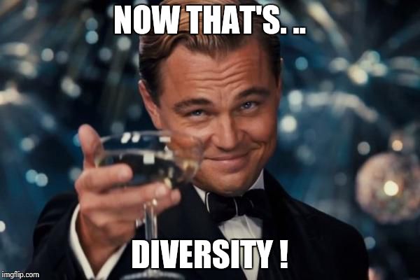 Leonardo Dicaprio Cheers Meme | NOW THAT'S. .. DIVERSITY ! | image tagged in memes,leonardo dicaprio cheers | made w/ Imgflip meme maker