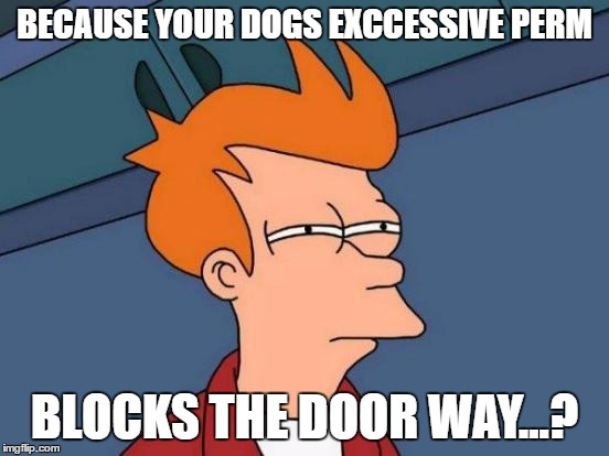 Futurama Fry Meme | BECAUSE YOUR DOGS EXCCESSIVE PERM BLOCKS THE DOOR WAY...? | image tagged in memes,futurama fry | made w/ Imgflip meme maker