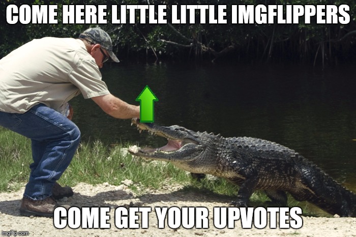 Y'all know its true | COME HERE LITTLE LITTLE IMGFLIPPERS; COME GET YOUR UPVOTES | image tagged in come here x come get your x,imgflippers | made w/ Imgflip meme maker