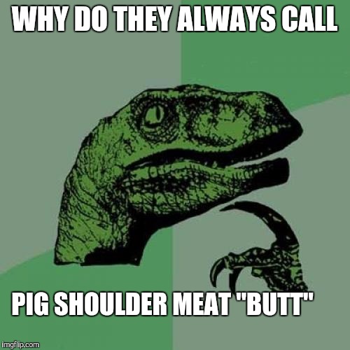 Philosoraptor Meme | WHY DO THEY ALWAYS CALL; PIG SHOULDER MEAT "BUTT" | image tagged in memes,philosoraptor | made w/ Imgflip meme maker