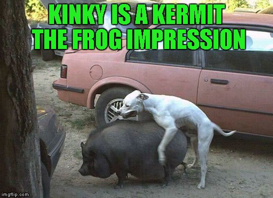 KINKY IS A KERMIT THE FROG IMPRESSION | made w/ Imgflip meme maker