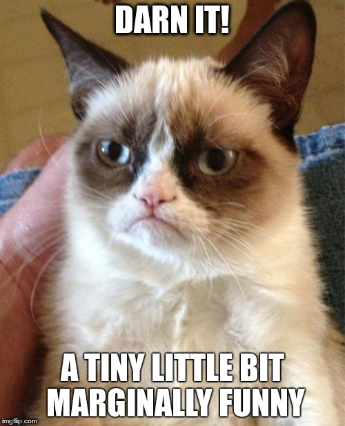 Grumpy Cat Meme | DARN IT! A TINY LITTLE BIT MARGINALLY FUNNY | image tagged in memes,grumpy cat | made w/ Imgflip meme maker