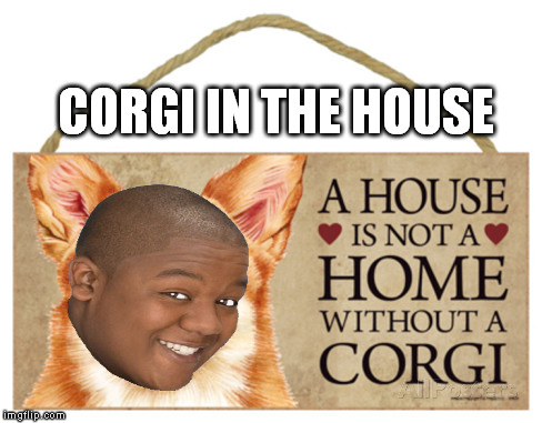 CORGI IN THE HOUSE | image tagged in corgi,in,the,house | made w/ Imgflip meme maker