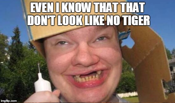 EVEN I KNOW THAT THAT DON'T LOOK LIKE NO TIGER | made w/ Imgflip meme maker
