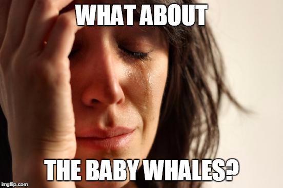 First World Problems Meme | WHAT ABOUT THE BABY WHALES? | image tagged in memes,first world problems | made w/ Imgflip meme maker