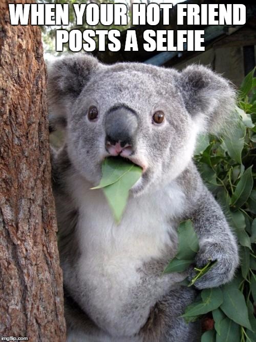 Surprised Koala Meme | WHEN YOUR HOT FRIEND POSTS A SELFIE | image tagged in memes,surprised koala | made w/ Imgflip meme maker