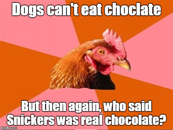 Dogs can't eat choclate But then again, who said Snickers was real chocolate? | made w/ Imgflip meme maker