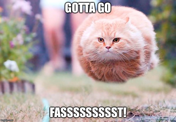 Sanic Kitty | GOTTA GO; FASSSSSSSSST! | image tagged in sanic kitty | made w/ Imgflip meme maker
