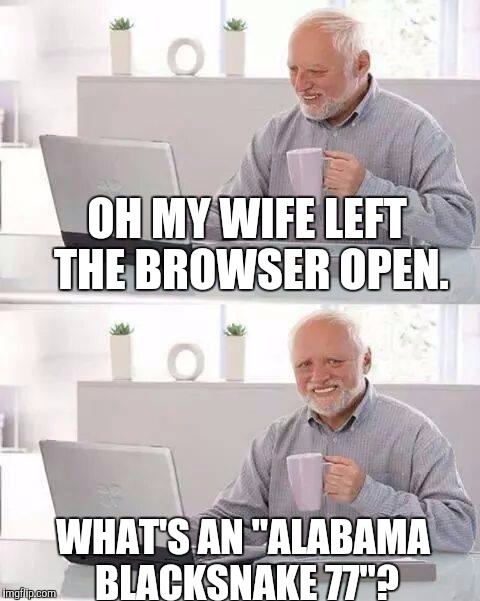 Hide the Pain Harold Meme | OH MY WIFE LEFT THE BROWSER OPEN. WHAT'S AN "ALABAMA BLACKSNAKE 77"? | image tagged in memes,hide the pain harold | made w/ Imgflip meme maker