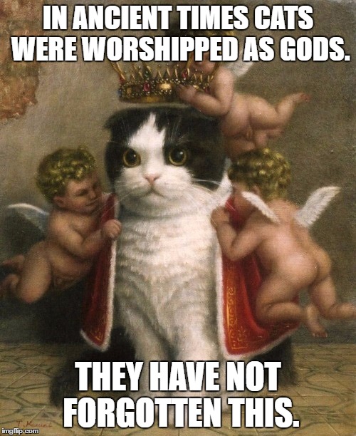 Cat God | IN ANCIENT TIMES CATS WERE WORSHIPPED AS GODS. THEY HAVE NOT FORGOTTEN THIS. | image tagged in cat god ancient times gods cats terry pratchett | made w/ Imgflip meme maker