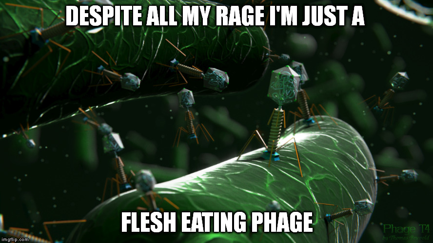 Phage in a cage | DESPITE ALL MY RAGE I'M JUST A; FLESH EATING PHAGE | image tagged in imgflip | made w/ Imgflip meme maker