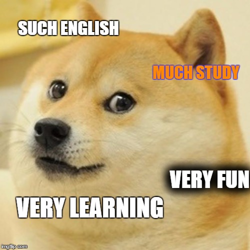 Doge Meme | SUCH ENGLISH; MUCH STUDY; VERY FUN; VERY LEARNING | image tagged in memes,doge | made w/ Imgflip meme maker