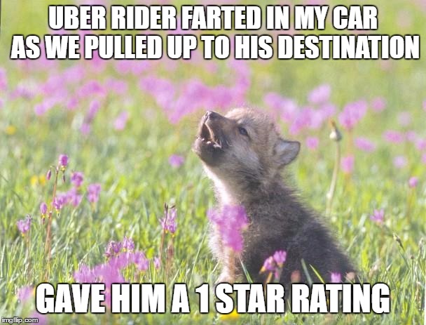 Baby Insanity Wolf Meme | UBER RIDER FARTED IN MY CAR AS WE PULLED UP TO HIS DESTINATION; GAVE HIM A 1 STAR RATING | image tagged in memes,baby insanity wolf,AdviceAnimals | made w/ Imgflip meme maker