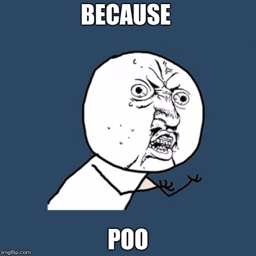 Y U No | BECAUSE; POO | image tagged in memes,y u no | made w/ Imgflip meme maker