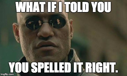 Matrix Morpheus Meme | WHAT IF I TOLD YOU YOU SPELLED IT RIGHT. | image tagged in memes,matrix morpheus | made w/ Imgflip meme maker