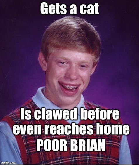 Bad Luck Brian Meme | Gets a cat; Is clawed before even reaches home; POOR BRIAN | image tagged in memes,bad luck brian | made w/ Imgflip meme maker