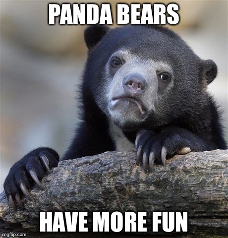 Confession Bear Meme | PANDA BEARS; HAVE MORE FUN | image tagged in memes,confession bear | made w/ Imgflip meme maker