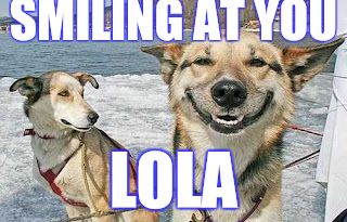 Original Stoner Dog | SMILING AT YOU; LOLA | image tagged in memes,original stoner dog | made w/ Imgflip meme maker