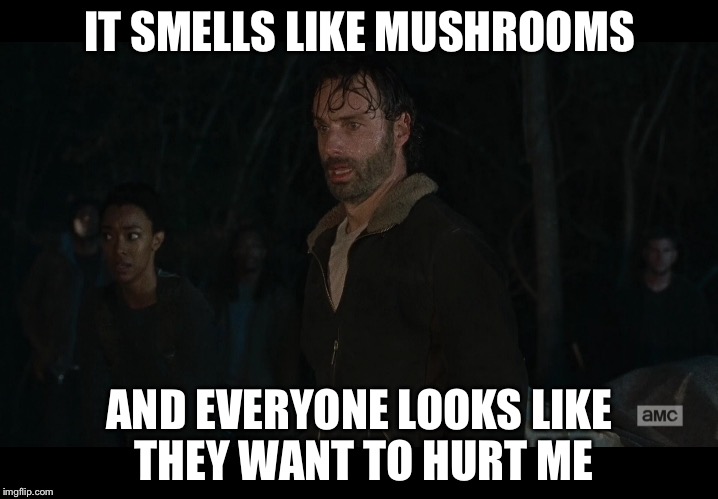 IT SMELLS LIKE MUSHROOMS; AND EVERYONE LOOKS LIKE THEY WANT TO HURT ME | image tagged in the walking dead | made w/ Imgflip meme maker