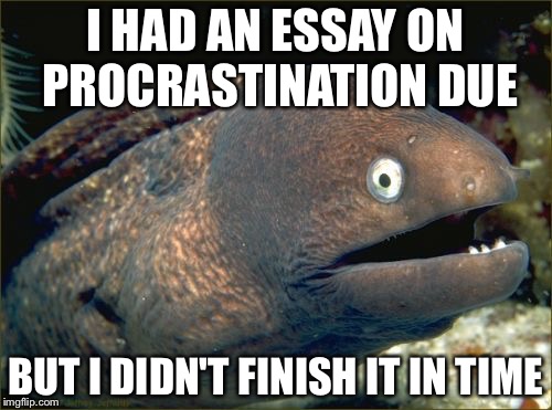 Bad Joke Eel | I HAD AN ESSAY ON PROCRASTINATION DUE; BUT I DIDN'T FINISH IT IN TIME | image tagged in memes,bad joke eel | made w/ Imgflip meme maker