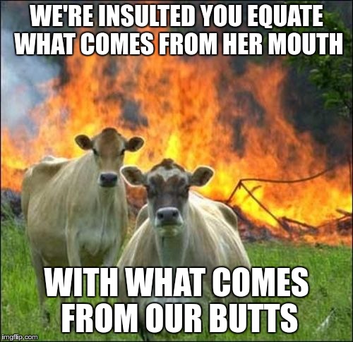WE'RE INSULTED YOU EQUATE WHAT COMES FROM HER MOUTH; WITH WHAT COMES FROM OUR BUTTS | made w/ Imgflip meme maker