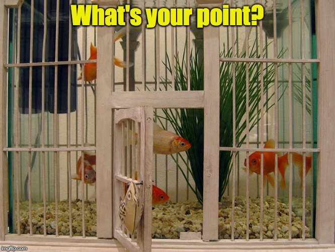 What's your point? | made w/ Imgflip meme maker