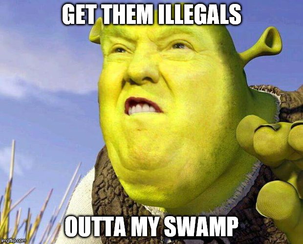 Donald Shrek | GET THEM ILLEGALS; OUTTA MY SWAMP | image tagged in donald trump,shrek | made w/ Imgflip meme maker