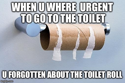 No More Toilet Paper | WHEN U WHERE  URGENT TO GO TO THE TOILET; U FORGOTTEN ABOUT THE TOILET ROLL | image tagged in no more toilet paper | made w/ Imgflip meme maker