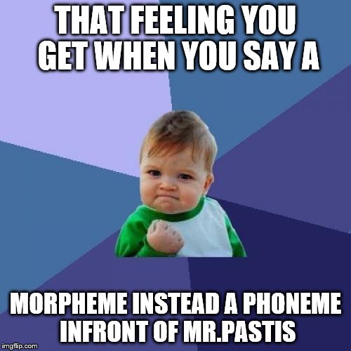Success Kid Meme | THAT FEELING YOU GET WHEN YOU SAY A; MORPHEME INSTEAD A PHONEME INFRONT OF MR.PASTIS | image tagged in memes,success kid | made w/ Imgflip meme maker