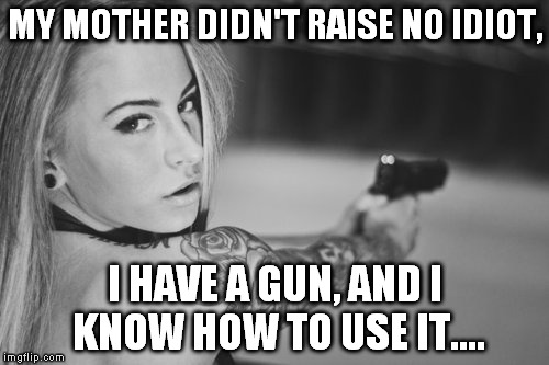 My type woman. | MY MOTHER DIDN'T RAISE NO IDIOT, I HAVE A GUN, AND I KNOW HOW TO USE IT.... | image tagged in hot,sexy,gun owner,women,meme | made w/ Imgflip meme maker