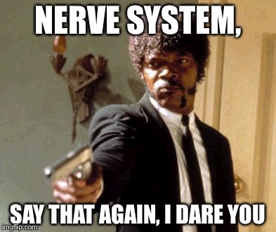 Say That Again I Dare You | NERVE SYSTEM, SAY THAT AGAIN, I DARE YOU | image tagged in memes,say that again i dare you | made w/ Imgflip meme maker