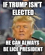 IF TRUMP ISN'T ELECTED; HE CAN ALWAYS BE LICE PRESIDENT | image tagged in the new lice president | made w/ Imgflip meme maker