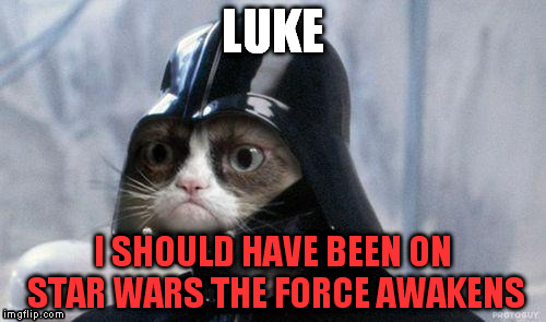 funny grumpth grumpder | LUKE; I SHOULD HAVE BEEN ON STAR WARS THE FORCE AWAKENS | image tagged in grumpy cat star wars,grumpy cat,uhh | made w/ Imgflip meme maker