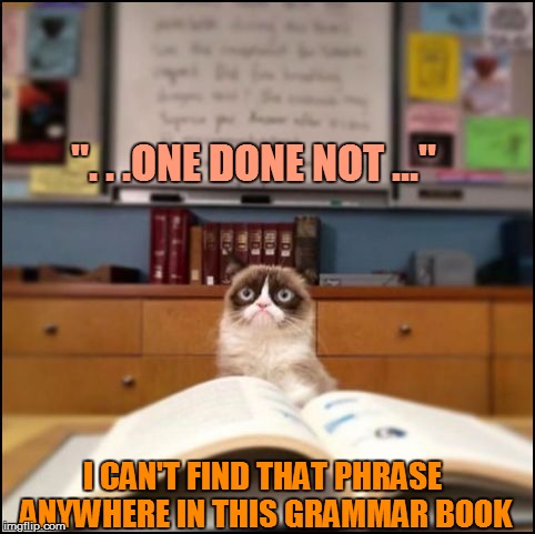 ". . .ONE DONE NOT ..." I CAN'T FIND THAT PHRASE ANYWHERE IN THIS GRAMMAR BOOK | made w/ Imgflip meme maker