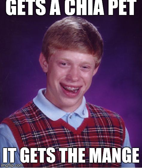 Bad Luck Brian | GETS A CHIA PET; IT GETS THE MANGE | image tagged in memes,bad luck brian | made w/ Imgflip meme maker